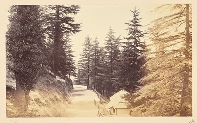  door Samuel Bourne