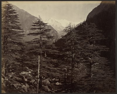 Besneeuwde bergtoppen bij Gangotri, vanuit Bhairamghati door Samuel Bourne