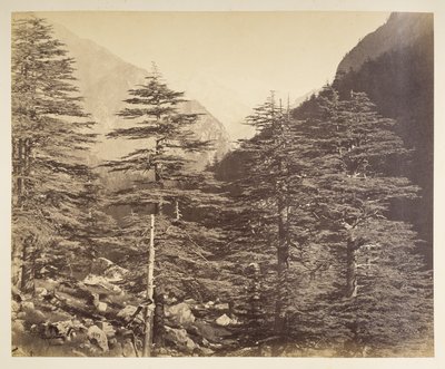 Besneeuwde toppen bij Gangootri vanaf Bhairamghati. Fotograaf: Bourne, Samuel Album met foto
