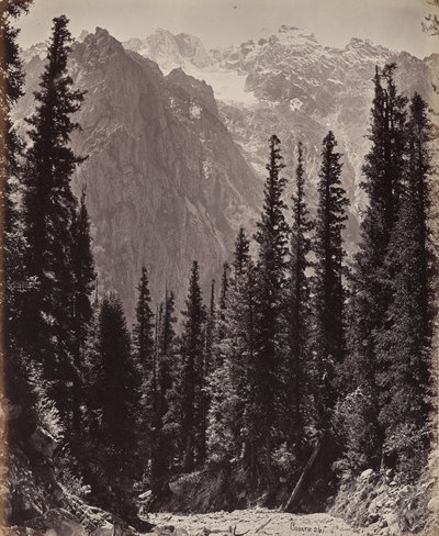 door Samuel Bourne