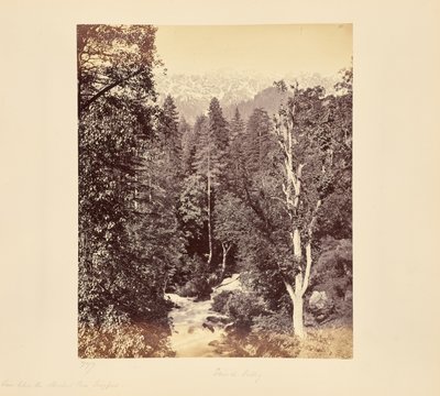  door Samuel Bourne