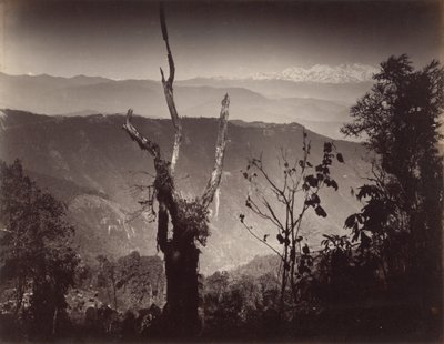 Uitzicht vanuit Senchal door Samuel Bourne