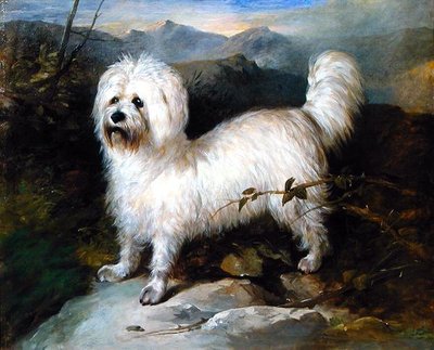Kleine witte hond in een landschap door Samuel Coleman
