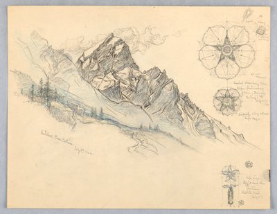Antelao, vanuit Cortina, met studies van bloemen door Samuel Colman