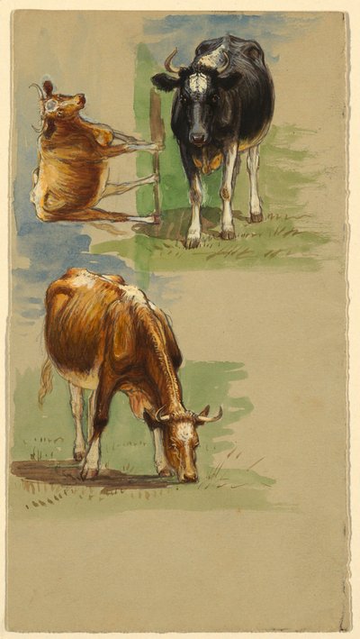 Tekening, vee, ossen, 1875-80 door Samuel Colman