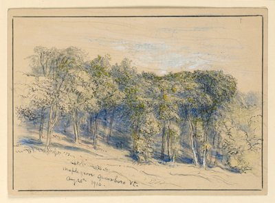 Studie van Maple Grove, Greensboro, Vermont door Samuel Colman