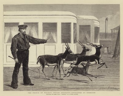 De Indiase Geschenken van de Prins van Wales, Antilopen in Oefening door Samuel Edmund Waller