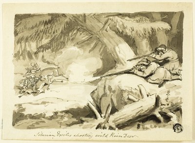 Siberische Ballingen die Wilde Rendieren Schieten (recto); Schelp (verso) door Samuel Howett