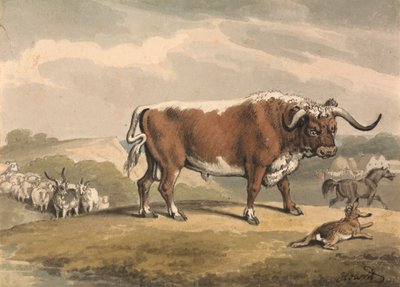 Een Stier en een Konijn door Samuel Howitt