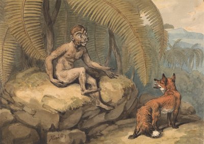 Een Aap en een Vos door Samuel Howitt