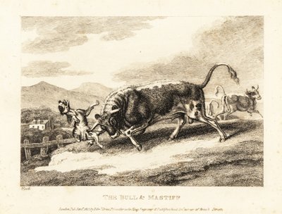 Een stier doorboort een hond tot de dood in een veld. 1811 (ets) door Samuel Howitt