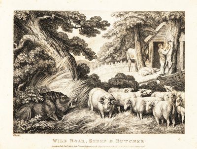 Een kudde schapen wacht op slachting door een slager. 1811 (ets) door Samuel Howitt