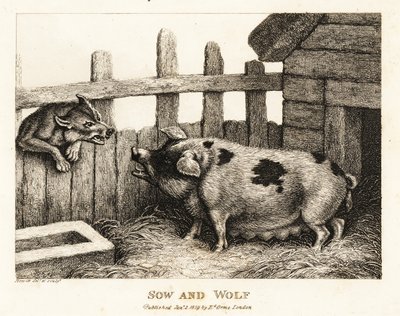 Een grote zeug in een varkensstal gromt naar een wolf. 1811 (ets) door Samuel Howitt