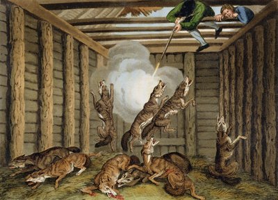 Amerikaans anekdote: Het schieten van de wolven, gegraveerd door Matthew Dubourg en de kunstenaar, gepubliceerd door Edward Orme, 1813 door Samuel Howitt