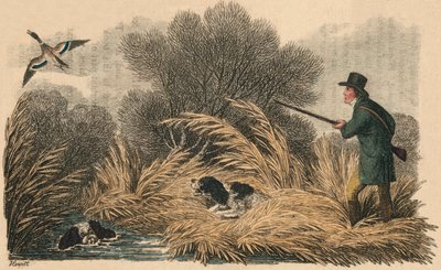 Eendenschieten door Samuel Howitt