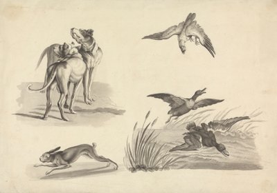 Blad met studies van honden, haas, valk en eenden door Samuel Howitt
