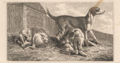Drie honden door Samuel Howitt