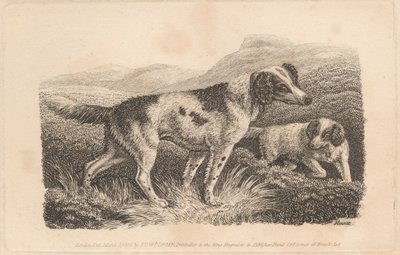 Twee Honden door Samuel Howitt