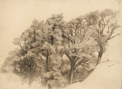 Landschap met bomen, 1884 door Samuel Isham