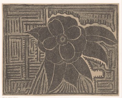 Camelia door Samuel Jessurun de Mesquita