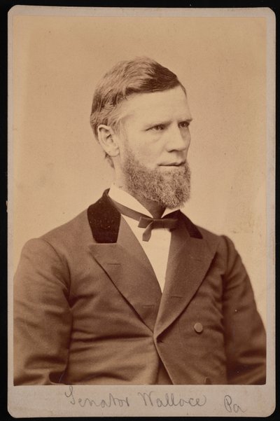 Portret van William Andrew Wallace door Samuel Montague Fassett