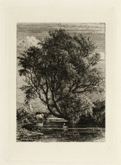 De wilg door Samuel Palmer