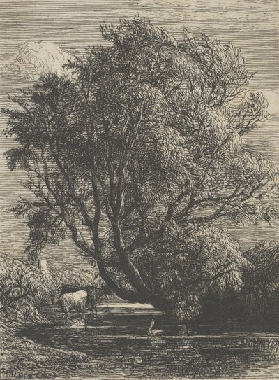De wilg, 1850 door Samuel Palmer