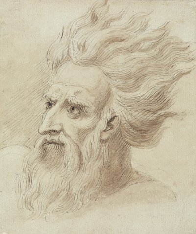 Hoofd van een Man met een Baard en Lang Haar in de Wind door Samuel de Wilde