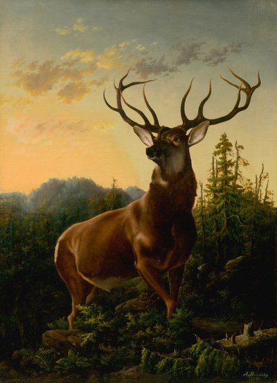 Herten in boslandschap, 1876 door Sandor Brodszky