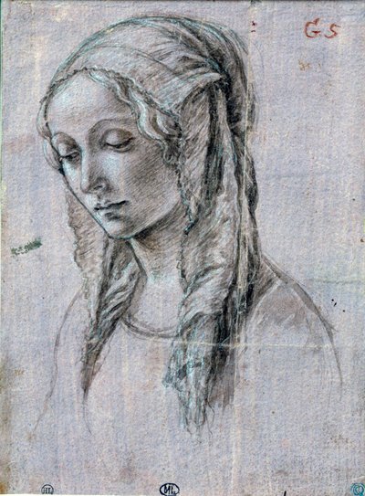 Hoofd van een jonge vrouw Penseeltekening en witte vlakken toegeschreven aan Alessandro di Mariano dei Filipepi genaamd Sandro Botticelli (1445-1510) 15e eeuw Parijs, Louvre Museum door Sandro (attr. to) Botticelli