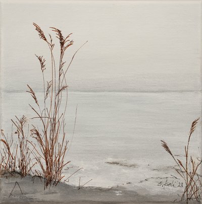  door Sandy Iseli