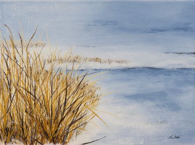  door Sandy Iseli