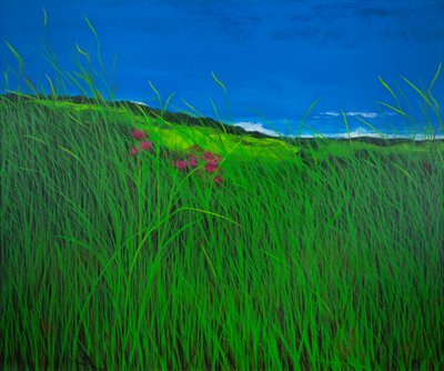  door Sandy Iseli