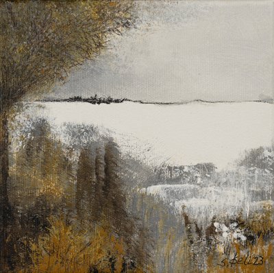 door Sandy Iseli