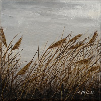  door Sandy Iseli