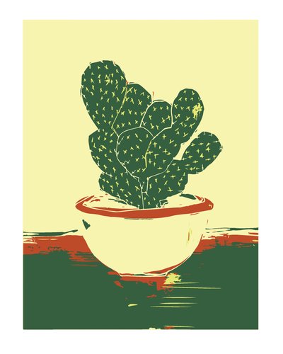 Cactus in pot door Sarah Fitzgerald