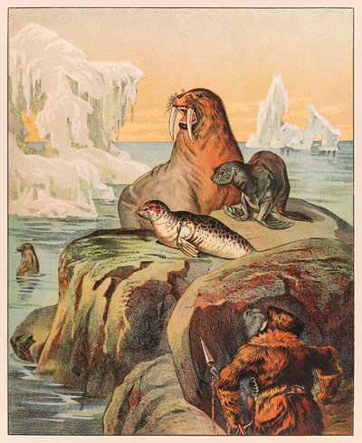 Een Eskimo die op zeehonden en een walrus jaagt, uit P.T. Barnum