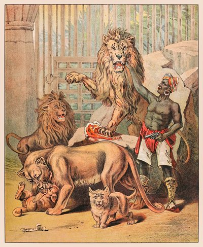 Optredende leeuwen met hun verzorger in het Barnum & Bailey Circus uit P.T. Barnum
