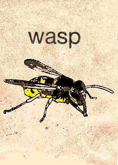 Wesp door Sarah Thompson Engels
