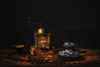  door Saskia Dingemans