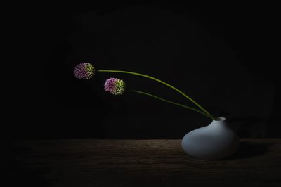  door Saskia Dingemans