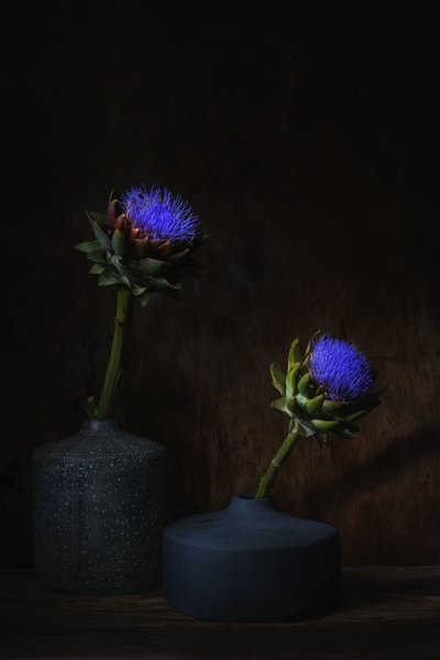  door Saskia Dingemans