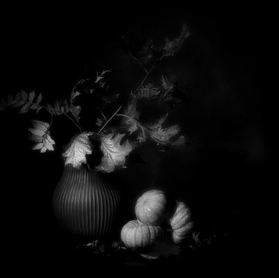  door Saskia Dingemans