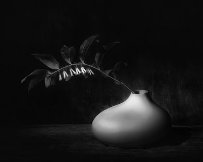  door Saskia Dingemans