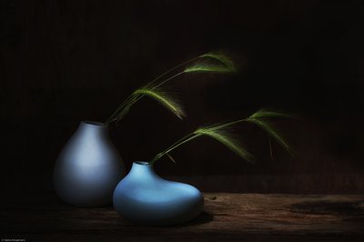  door Saskia Dingemans