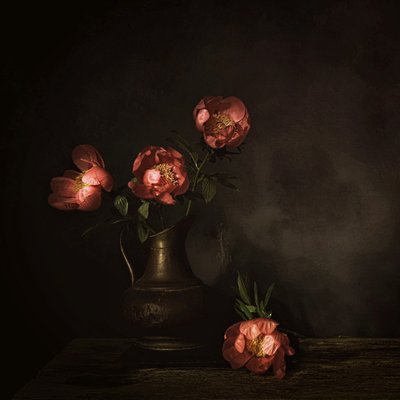  door Saskia Dingemans