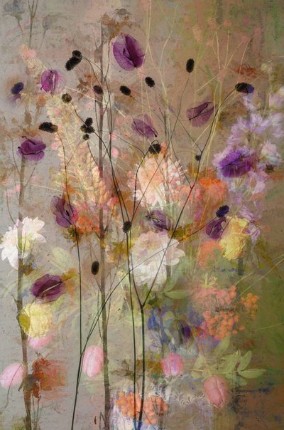  door Saskia Dingemans