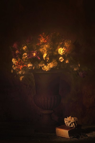  door Saskia Dingemans