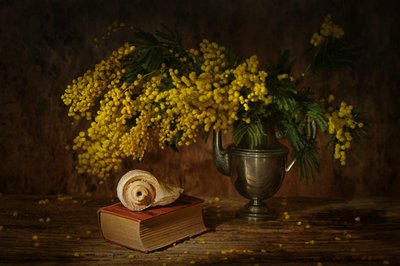  door Saskia Dingemans