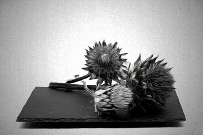  door Saskia Dingemans